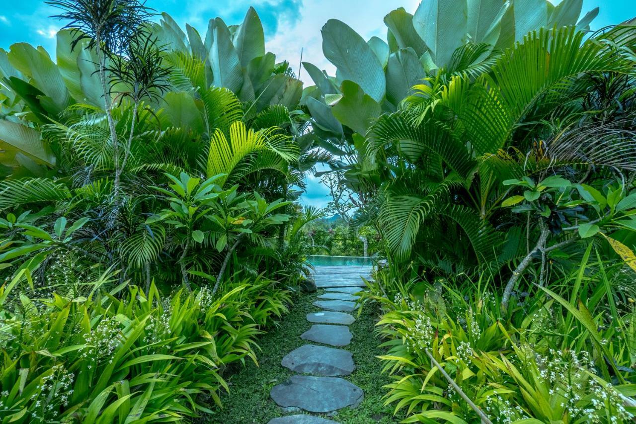 Malaya Villas Ubud Tegallalang  Exteriér fotografie