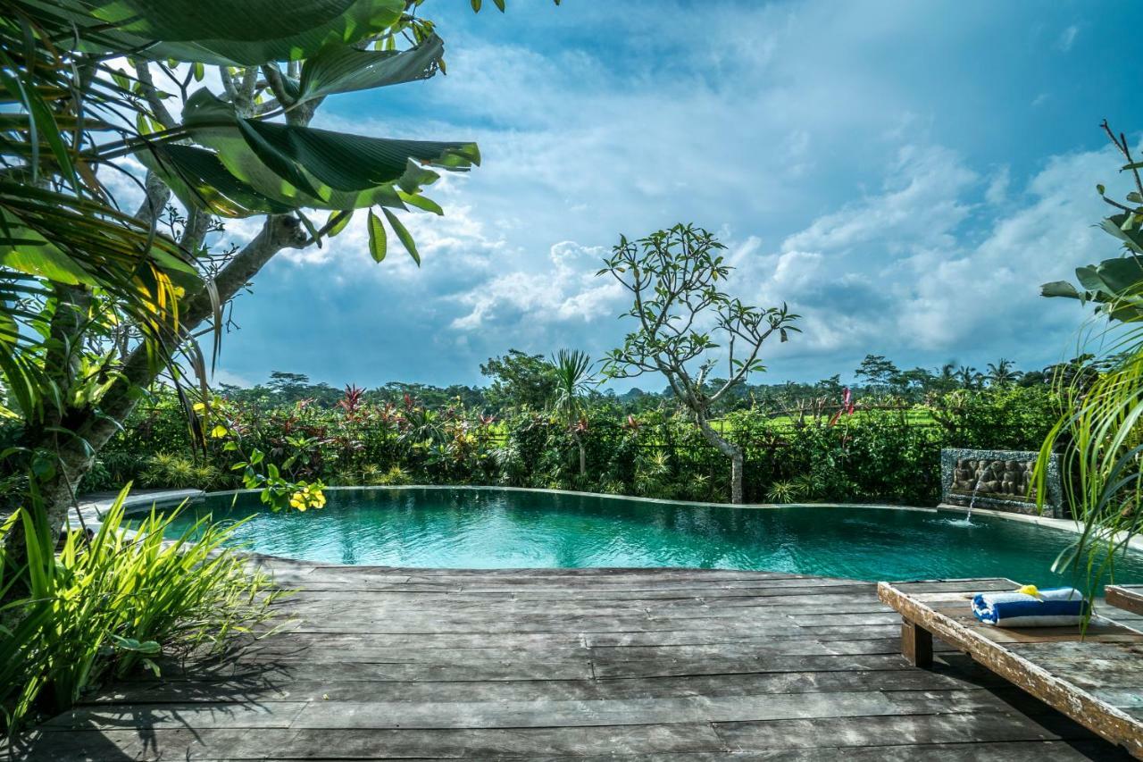 Malaya Villas Ubud Tegallalang  Exteriér fotografie