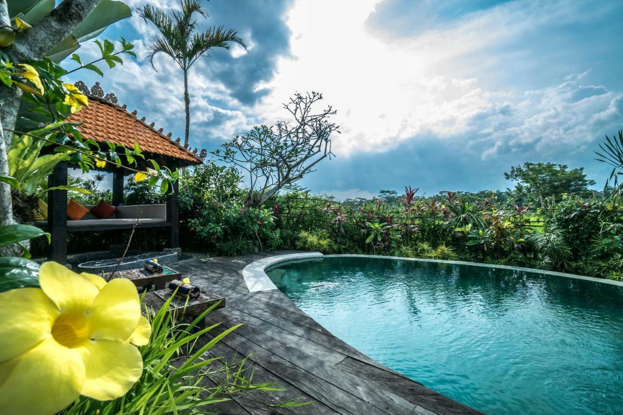 Malaya Villas Ubud Tegallalang  Exteriér fotografie