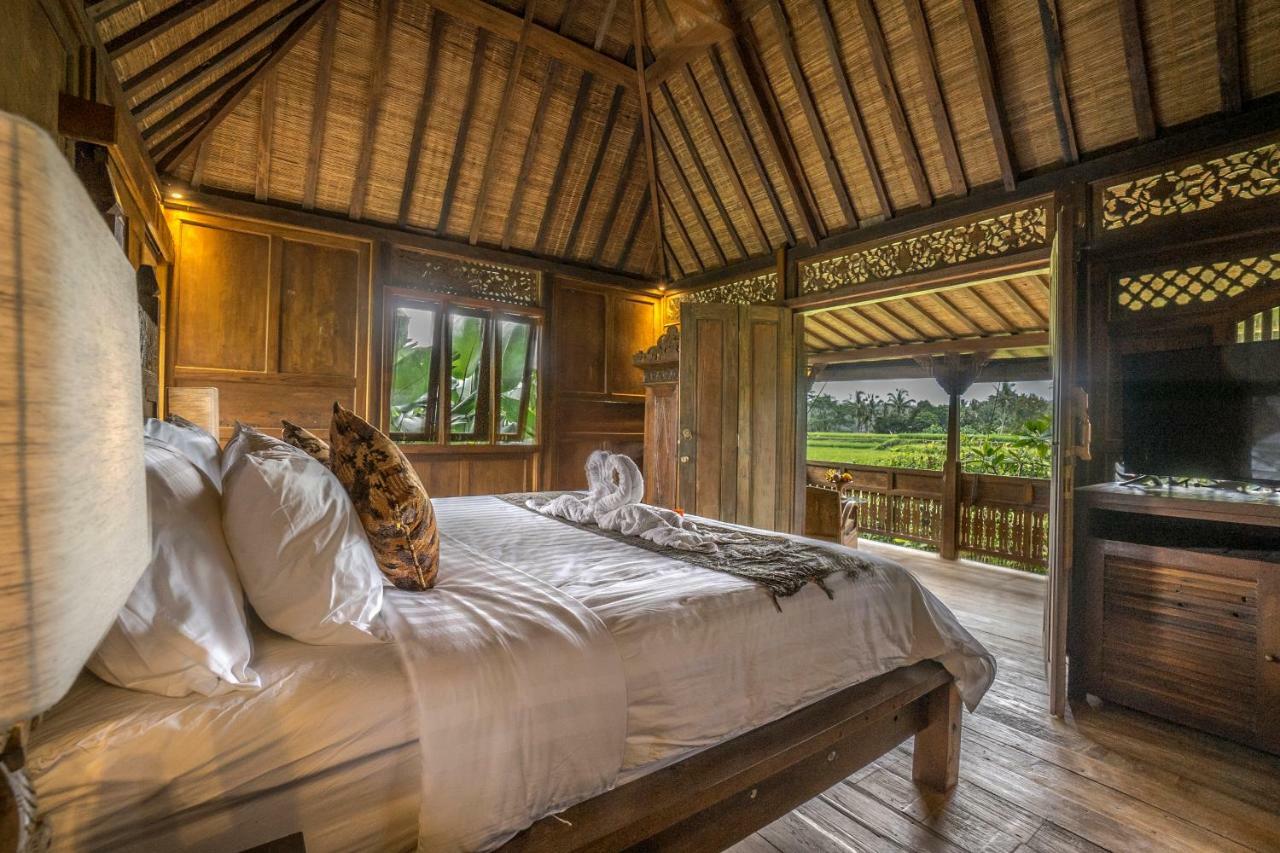 Malaya Villas Ubud Tegallalang  Exteriér fotografie