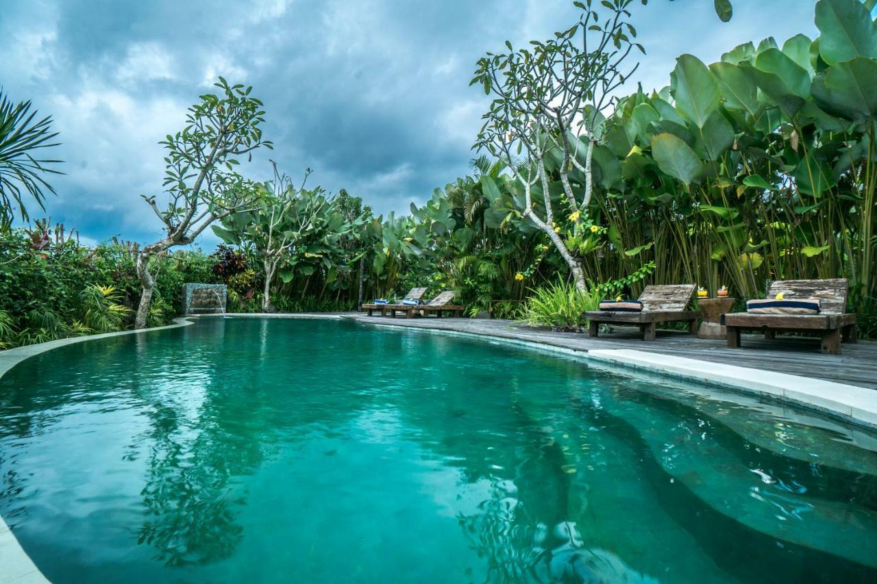 Malaya Villas Ubud Tegallalang  Exteriér fotografie