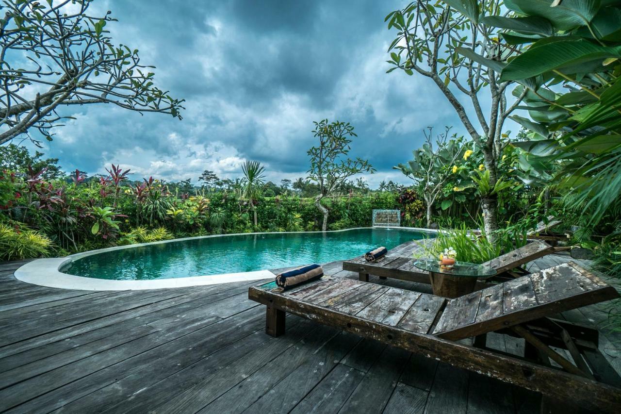 Malaya Villas Ubud Tegallalang  Exteriér fotografie